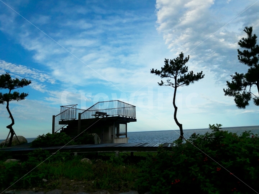 계단,분위기,하늘,공기,나무,자연,풍경,nature,landscape,한국자연풍경,한국자연경관,korea nature landscape,outdoors,옥외
