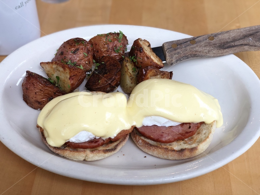 에그베네딕트,브런치,미국브런치,brunch,계란요리,effbenedict,음식,food,plate,dish,음식,식재료,요리,food,cook,meal,dishes,food reserves,양식,서양음식,서양요리,western food,western dishes,western meal,western cook