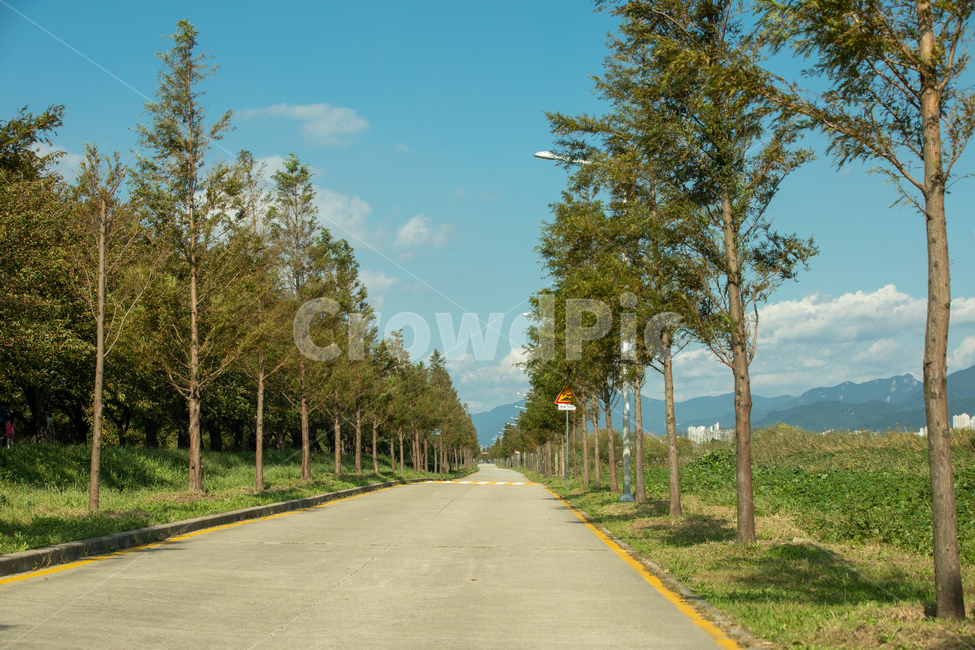 생태공원,도심공원,길,가로수길,하늘,구름,드라이브,가을풍경,자연,풍경,nature,landscape,road,도로,highway,고속도로,freeway,고속 도로,asphalt,아스팔트