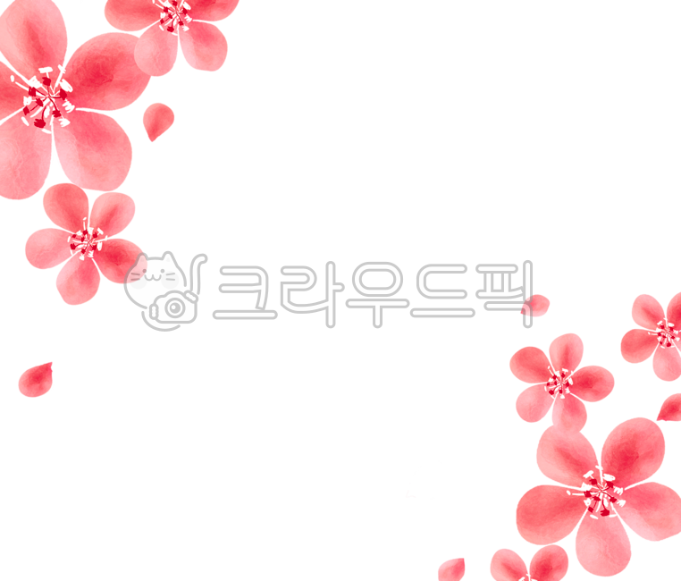 spring,Cherry Blossom,Spring background,cherryblossom,flower image,flower background,flower