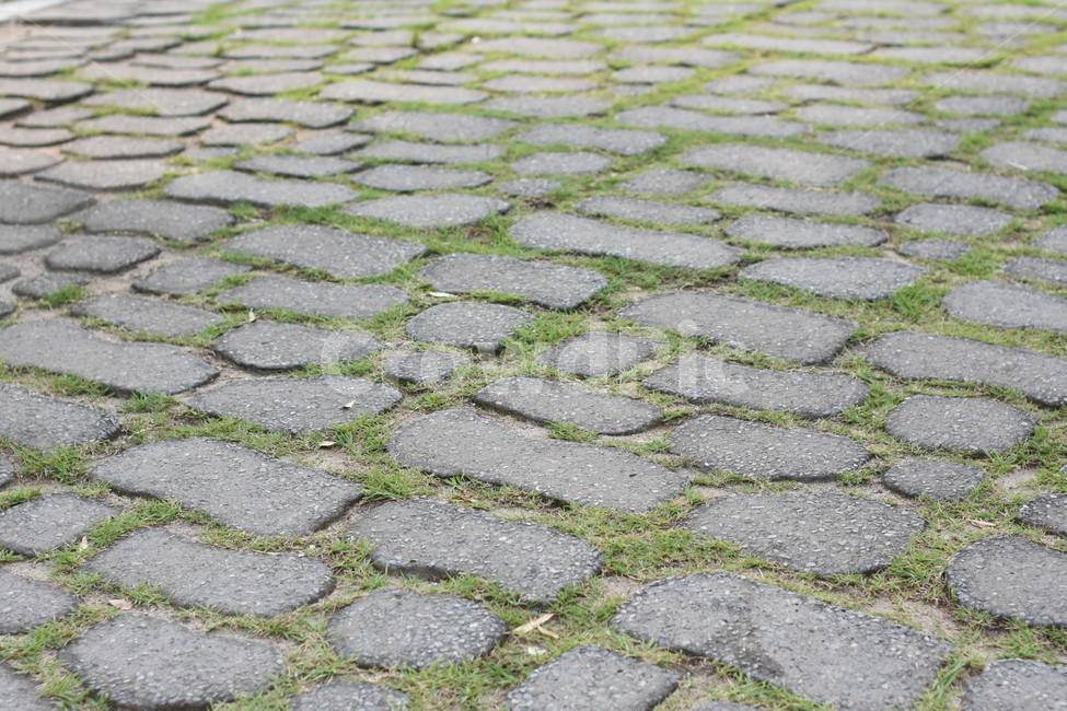 도보블럭,패턴,길,인도,잔디,sidewalkblock
