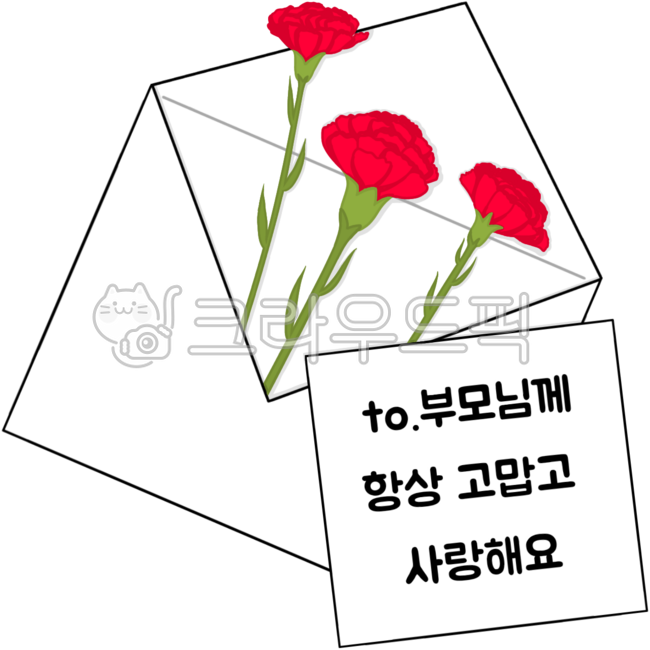 카네이션,어버이날,선물,편지,스승님,꽃,부모님,빨간색