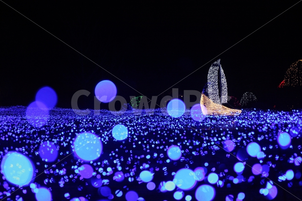 night view,sailboat,light photography,ship,Photo,arboretum,bokeh photography,emotional photo,Garden of Morning Calm,light festival,festival,photo,starlight,Gangwondo,Photography,night view photography,emotion,starlight festival,light,Photographer,bokeh,sn
