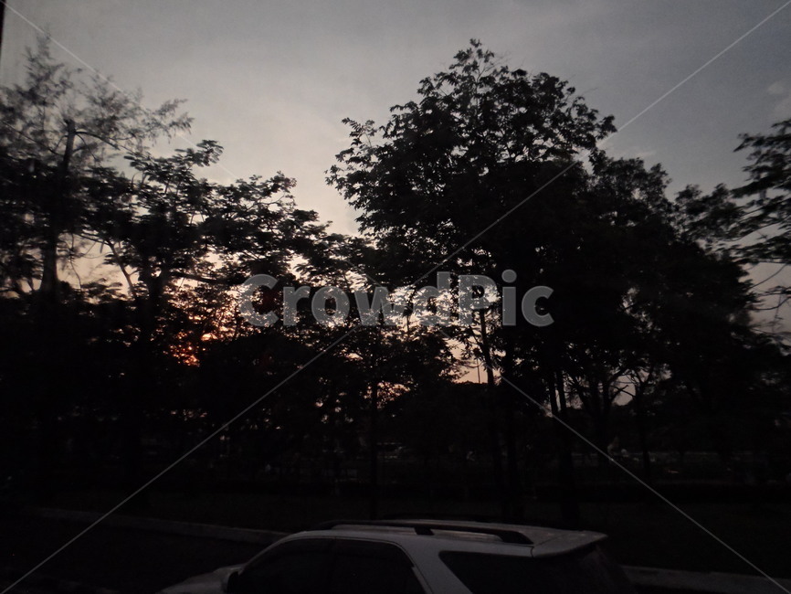 하늘,노을,자동차,나무,도로,sky,sunset,car,tree,road,laos,라오스