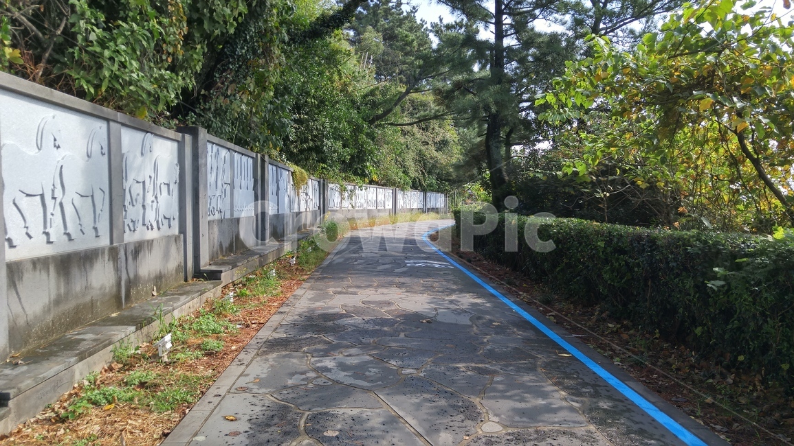 제주도,풍경,배경,자연,길,보행로,나무,식물,plant,통로,path,자연,풍경,nature,landscape