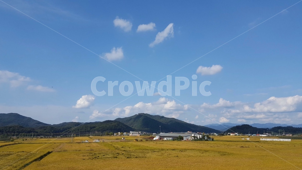 깨끗한,하늘,nature,자연,outdoors,옥외,field,들,grassland,목초지,countryside,rural,농촌,farm,농장