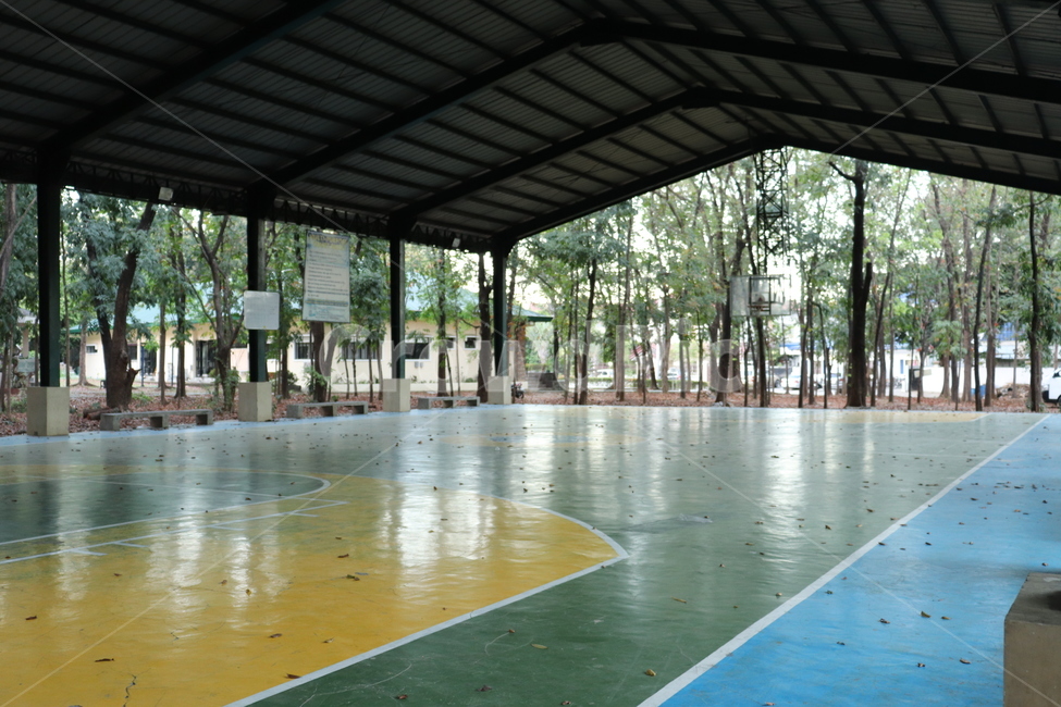 농구,농구장,스포츠,basketballcourt,sport,team,팀,teamsport,단체경기,sports,basketball