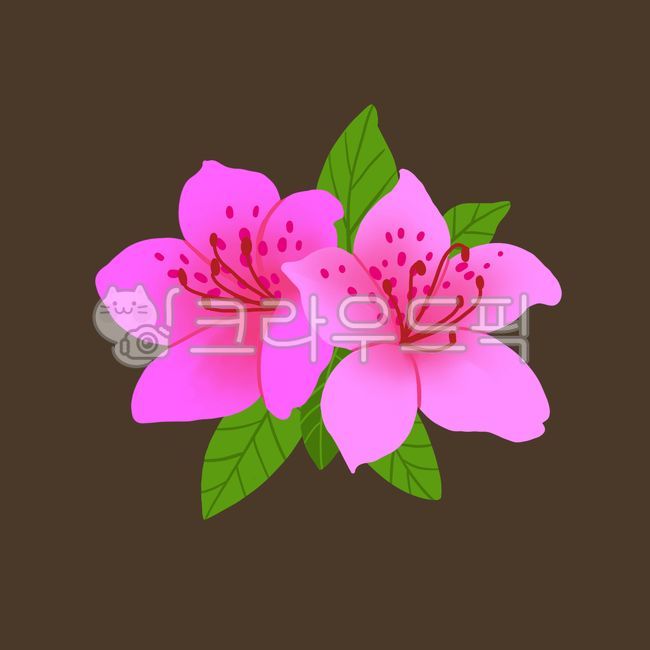 산철쭉,산철쭉그림,산철쭉일러스트,철쭉,철쭉그림,철쭉일러스트
