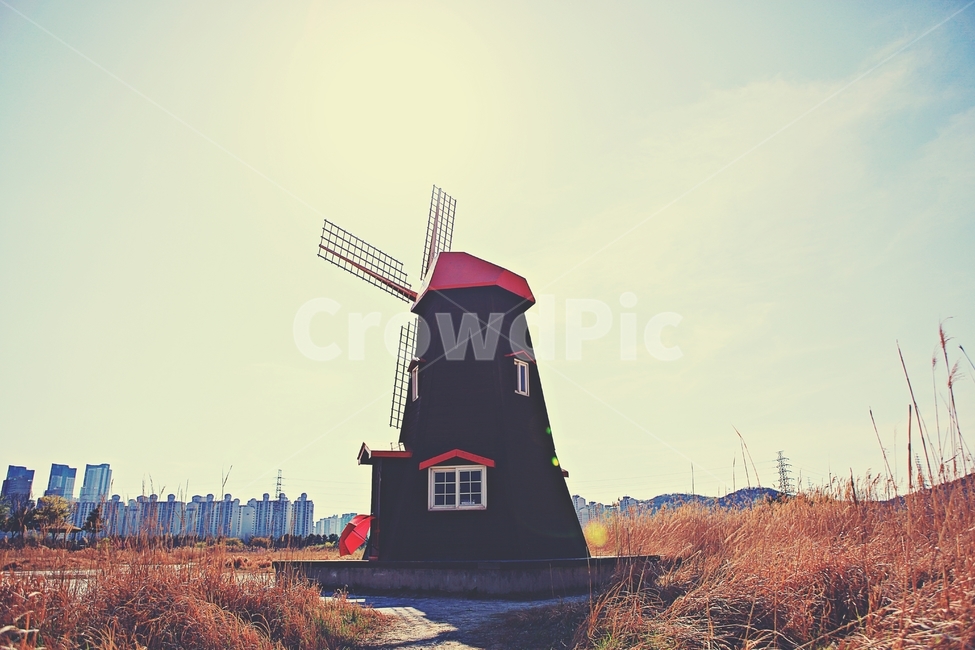 풍차,갈대,식물,자연,생태공원,풍경,배경,가을,계절,fall,autumn,season,자연,풍경,nature,landscape,engine,엔진,motor,모터,machine,기계