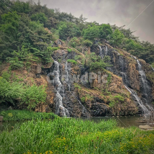 자연,풍경,절경,다큐,폭포,식물,초록색,녹색,자연,풍경,nature,landscape,한국자연풍경,한국자연경관,korea nature landscape,river,강,water,물,outdoors,옥외,waterfall