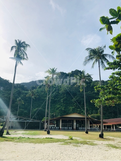 푸켓,태국,야자수,햇살,구름,바다,풍경,thailand,phuket,summer,sea,scenery,scene,view,phiphiislands,자연,해외,외국,세계,foreign,oversea,world,하늘,여름,nature,landscape,모래,해변,계절