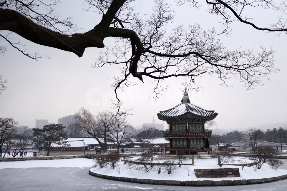 경복궁,향원정,연못,정원,나무,나뭇가지,자연,풍경,lanscape,nature,korea,seoul,한국,서울,한국적인,코리아,한국문화,한국역사,한국전통,문화재,문화,역사,전통,한옥,히스토리,history,궁궐,궁전,왕궁,조선시대,조선왕조,겨울,계절,winter,season,snow,눈오는,눈내리는,눈쌓인,눈이쌓인,얼음,얼다,춥다,추운,꽁공,cold,하늘,건물,건축,토목,한양,역사유적지,국사,한국사,겨울,계절,winter,season,한국전통,한국문화,korean traditional,korean culture,랜드마크,landmark,tourist attraction,한국랜드마크,한국관광지,한국명소,korea landmark,korea tourist attraction