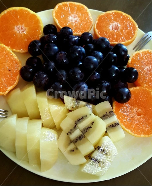 포도,키위,골드키위,오렌지,과일,디저트,후식,food,fruit,간식,건강,healthly,비타민,새콤달콤,신선한,다이어트,가족,생과일,meal,음식,식재료,요리,food,cook,meal,dishes,food reserves,과일,열매,fruit
