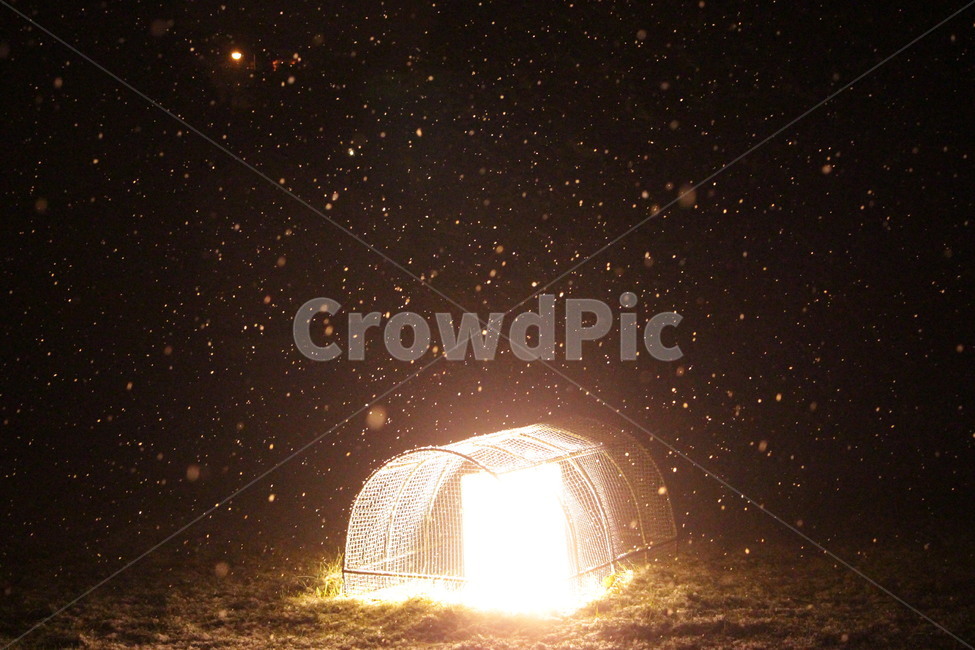 눈,겨울,겨울밤,불빛,내리는눈,밤조명,snow,wein,동화,겨울,계절,winter,season