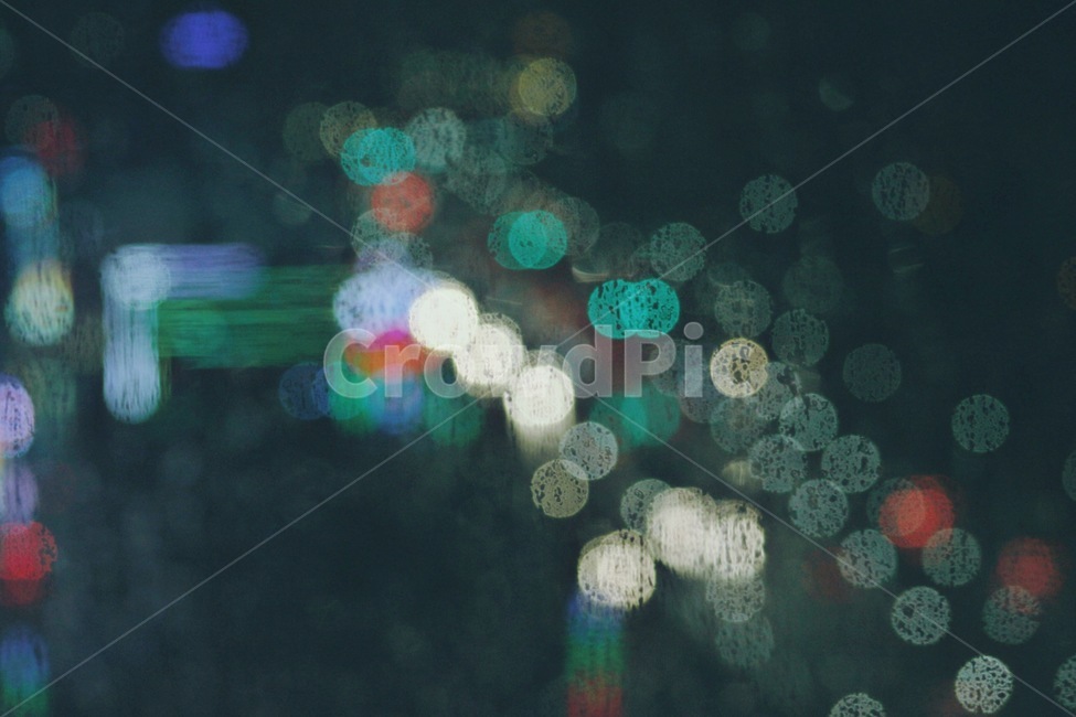 밤,새벽,비오는밤,야경,보케,야경,밤,풍경,nightscape,night,landscape,invertebrate,무척추 동물,animal,동물,jellyfish,해파리,sea life,해양 생물