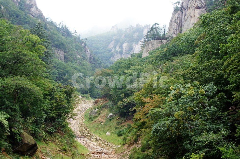 산,풍경,자연,나무,바위,계곡,안개,한계령,강원도,자연,풍경,nature,landscape,gravel,자갈,dirt road,흙길,road,도로