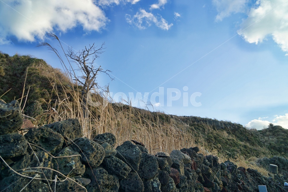 바다,파도,하늘,풍경,자연,일몰,구름,제주,자연,풍경,nature,landscape,한국자연풍경,한국자연경관,korea nature landscape,제주도,jeju,jeju island,wall,벽