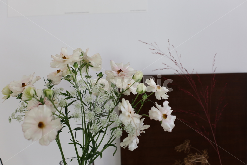 꽃,화분,화병,꽃병,flower