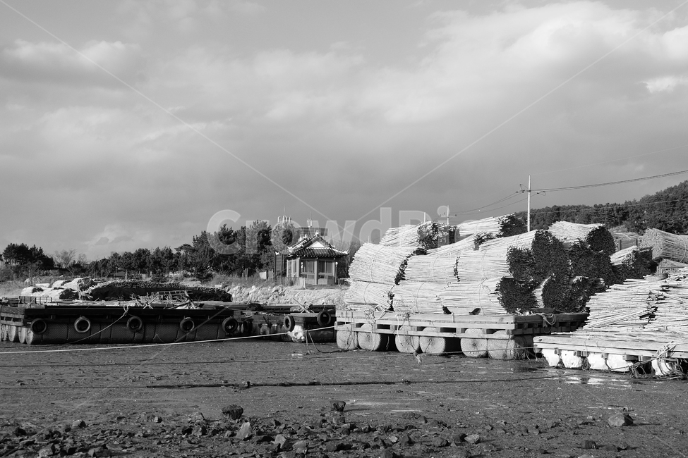 바다,흑백,어업,항구,해변,와온해변,흑백,모노톤,monochrome,black and white,산업,industry,industrial,어업,fishery,fishing industry