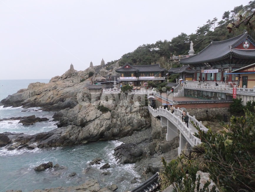 바다,부산절,부산용궁사,바닷가,수평선,절,파도