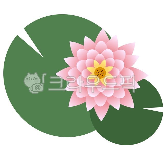연꽃,꽃,수상식물,flower,일러스트,꽃일러스트,식물일러스트,연꽃잎,연꽃일러스트,디자인