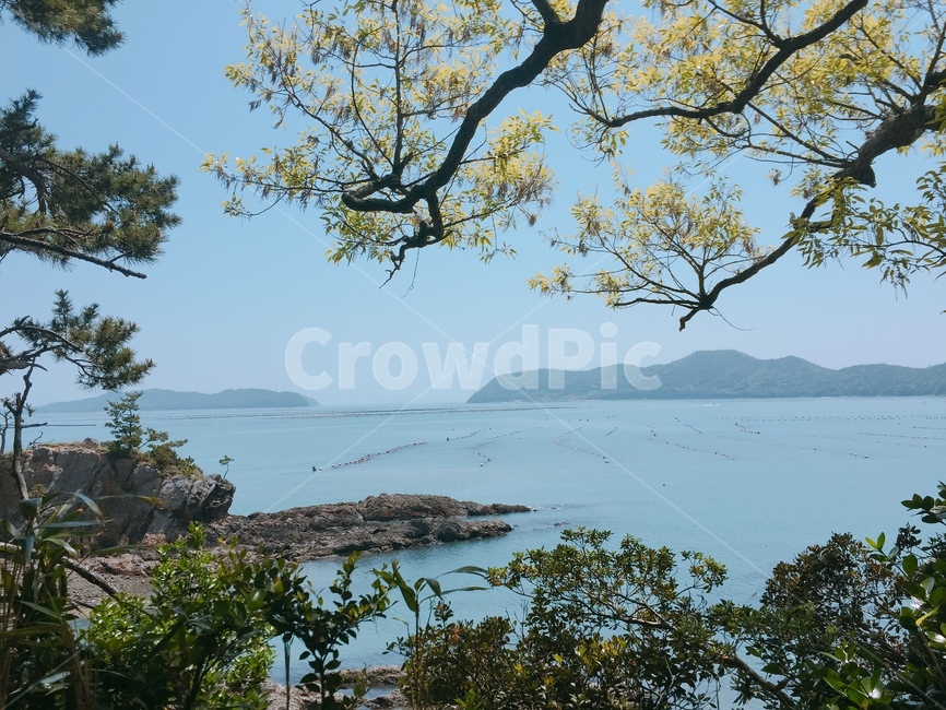 자연,바다,산,나무,한국,전남,해남