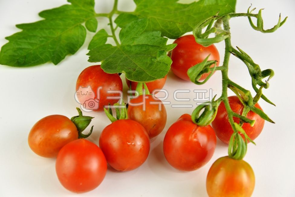 Nukki,Cherry tomato,Fruit,fruit,natural product,health,tomato,vegetable,food,red,dessert,fresh vegetables,plant,Food Ingredients,ingredients,diet food,organic