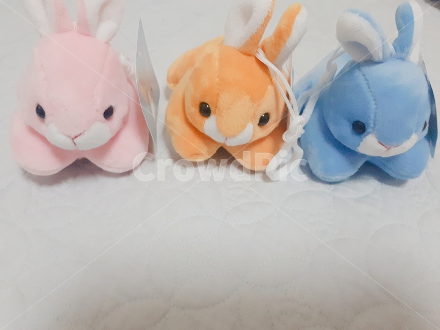 인형,토끼,색,토끼인형,큐트