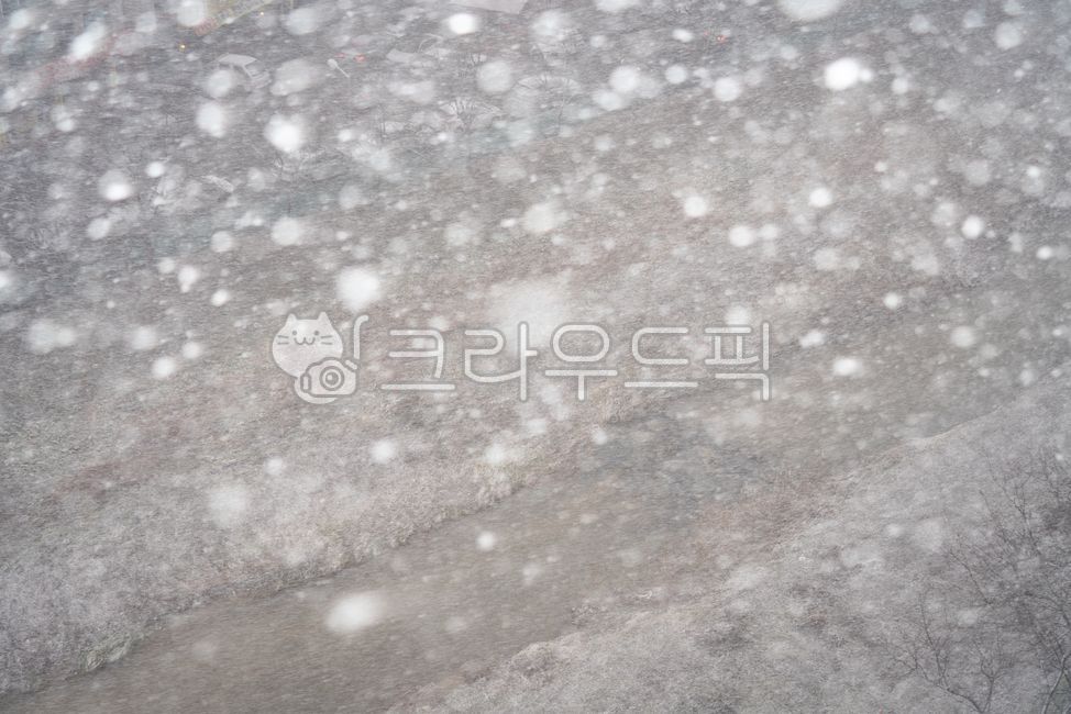 winter mood,snow scene,heavy snow,winter,cold,bright eyes,calamity,Natural Disasters,big eyes,Heavy snow warning,weather,sight,season,snowflake,nature,snowstorm,outdoor,outdoors,snow,winter landscape,icicle