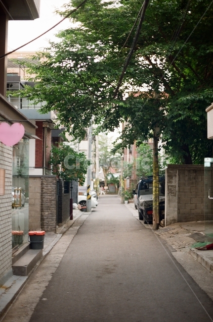 한국,골목,전봇대,나무,주택,korea,road,tree,building,house,car,자동차,utilitypole,alley,backstreet,골목길,낮,day,daytime,korean,cable,전선