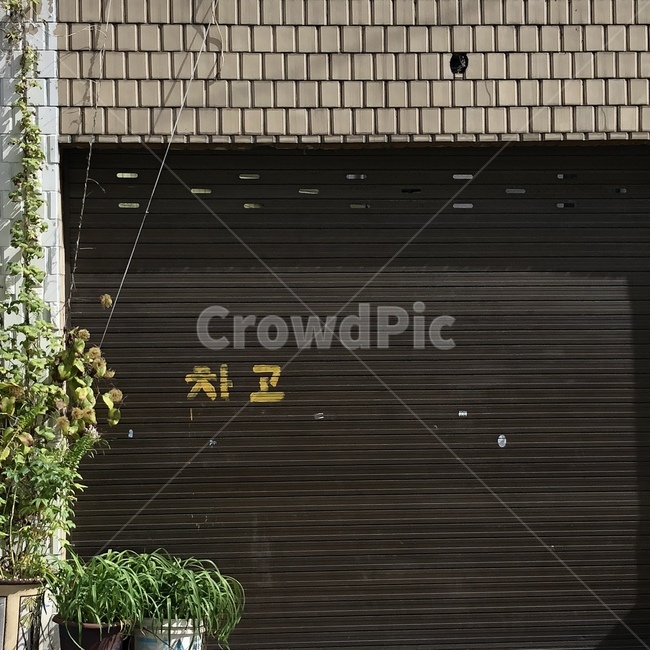 homedecor,차고,plant,식물,주차