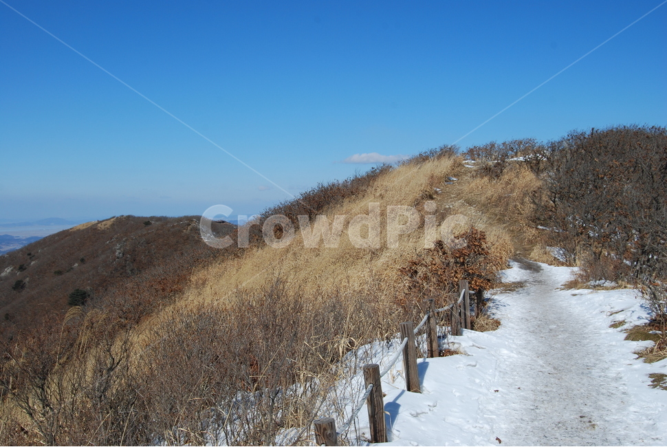 오서산자연휴양림,보령시,100대명산,월정사,등산로,돌,산행,힐링,자연,감성,등산,계절,여행,한국,한국명산,한국등산,풍경,눈,나무,하늘,바람,바람소리,환경,생태계,산,땅,겨울,계절,winter,season,자연,풍경,nature,landscape,한국자연풍경,한국자연경관,korea nature landscape,outdoors,옥외