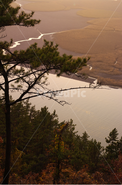 순천만,일몰,석양,노을,풍경,강,산,자연,풍경,nature,landscape,soil,흙,outdoors,옥외,sand,모래,tree,나무,plant,식물,dune,모래 언덕