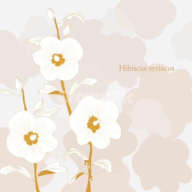 sharon,texture,flower pattern,pattern,flower,gold,background,Rose of Sharon,illustration,rose,graphic