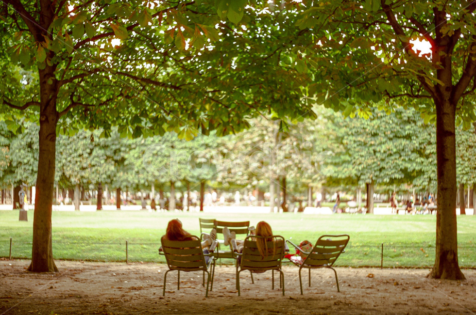 grass,잔디,park,공원,outdoors,휴식,힐링,healing,plant,식물,furniture,chair,가구,의자,tree,나무,옥외,lawn,자연,풍경,nature,landscape