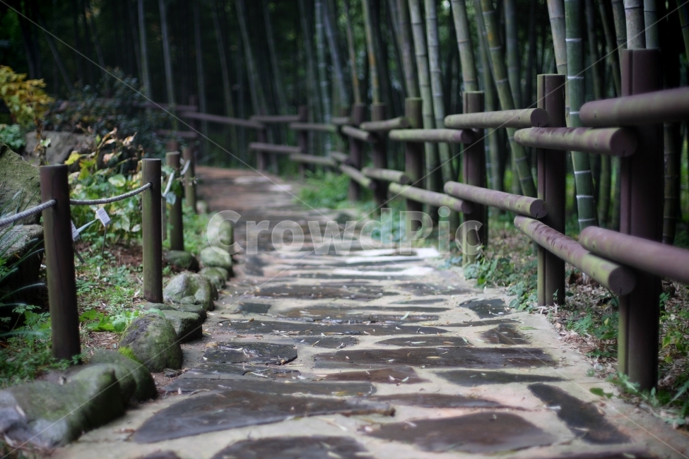 식물원,길,풍경,자연,여행,자연,풍경,nature,landscape,plant,식물
