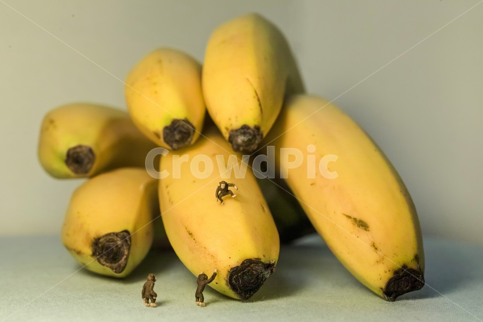 바나나,원숭이,banana,monkey,미니어처,과일,fruit,동물,동물원,zoo,간식,음식,식재료,요리,food,cook,meal,dishes,food reserves,과일,열매,fruit