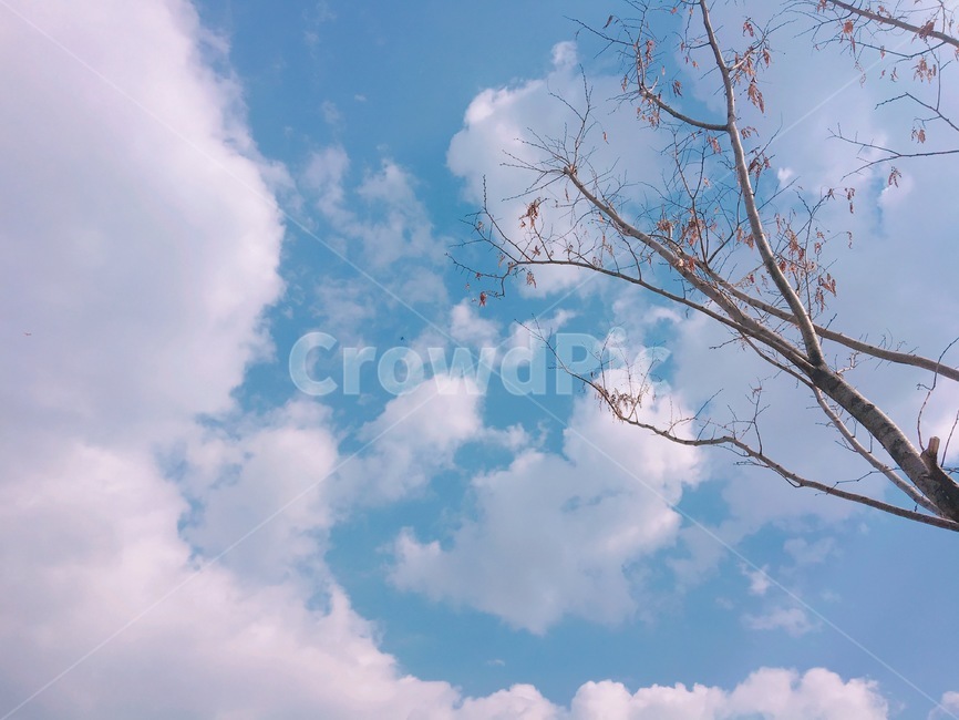 하늘,푸른하늘,azuresky,sky,자연,가을하늘,구름