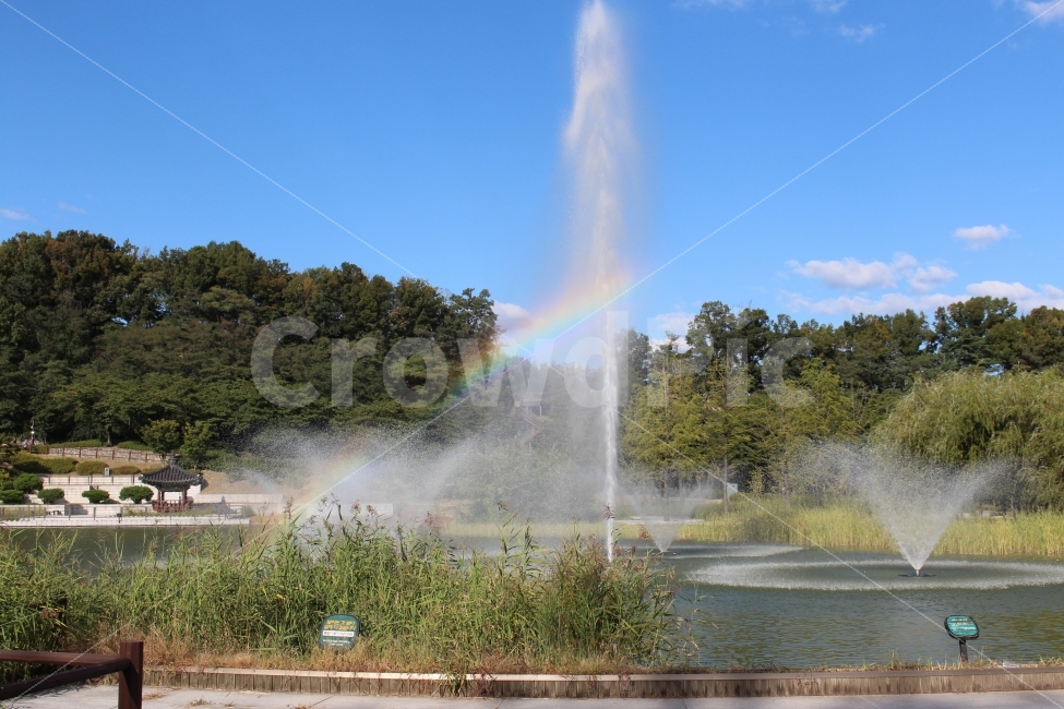 북서울꿈의숲,월영지,분수대,무지개,휴식,산책,공원,자연,풍경,nature,landscape,water,물,fountain,분수