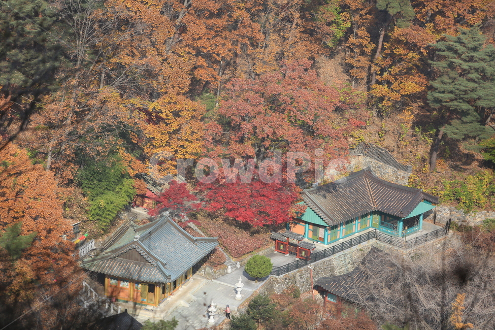한국,산,금오산,가을,단풍,korea,mountian,山,秋,紅葉,가을,계절,fall,autumn,season,한국전통,한국문화,korean traditional,korean culture,건축물,건물외관,exterior,building,structure,architecture,construction,landscape,경치,nature,자연,outdoors,옥외,scenery,풍경,plant,식물,tree,나무