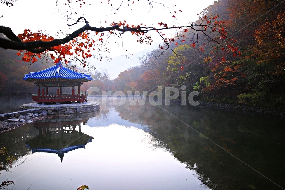 내장산,우화정,가을,추색,내장산국립공원,단풍,가을,계절,fall,autumn,season,자연,풍경,nature,landscape,한국자연풍경,한국자연경관,korea nature landscape