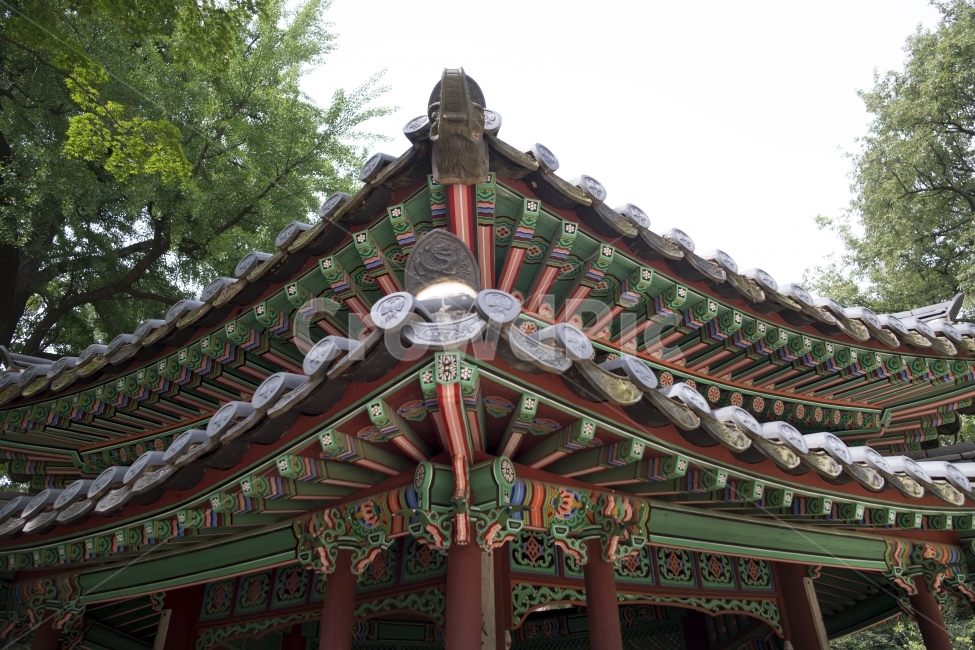 창경궁,창덕궁,후원,비원,이조시대,한국전통,한국문화,korean traditional,korean culture,건축물,건물외관,exterior,building,structure,architecture,construction