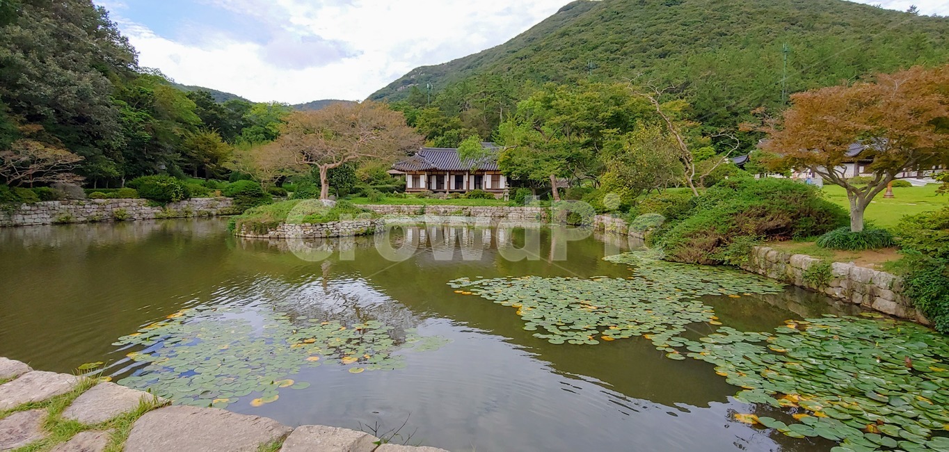 nature,자연,water,물,outdoors,옥외,land,나라,한옥,정원,연못