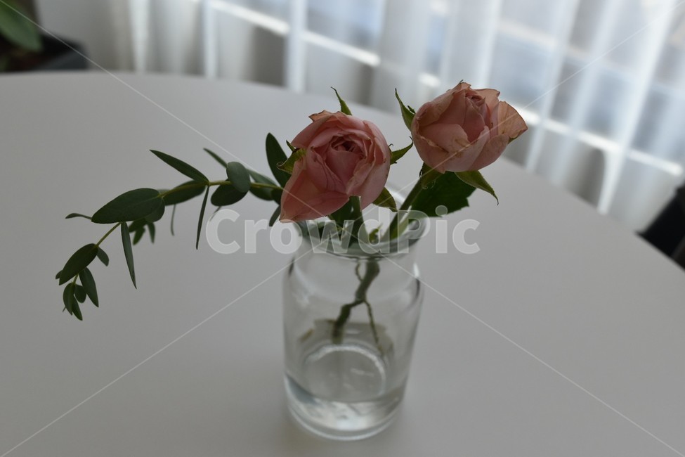 꽃,꽃병,장미,흰테이블,자연,인테리어