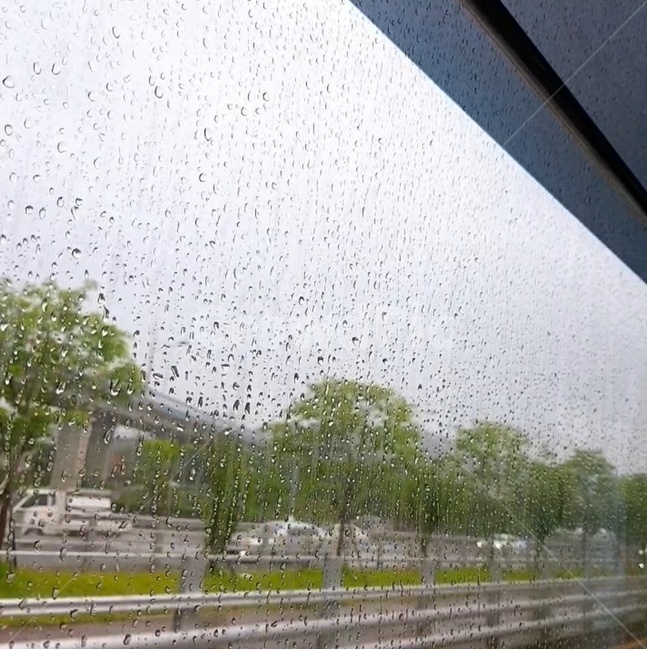 비,rain,빗방울,빗물,창가,물줄기,흐르는빗방울,창가안,비내리는날,비내리는날창가안,창문,감성,비오는날
