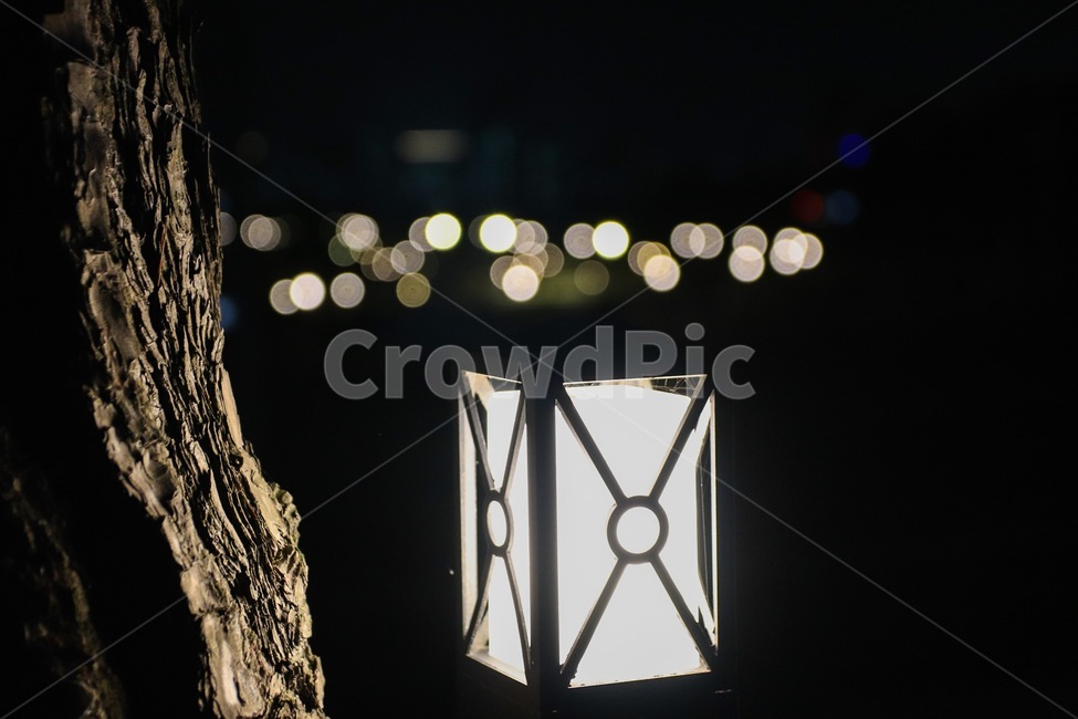 lamp,wood,light,나무,빛