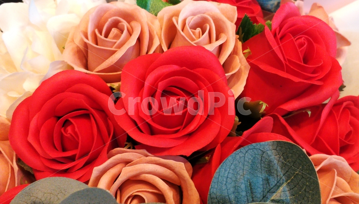 꽃,장미,plant,flower,blossom,rose,꽃인테리어,소품,선물,식물,자연,plants,nature,꽃,flower