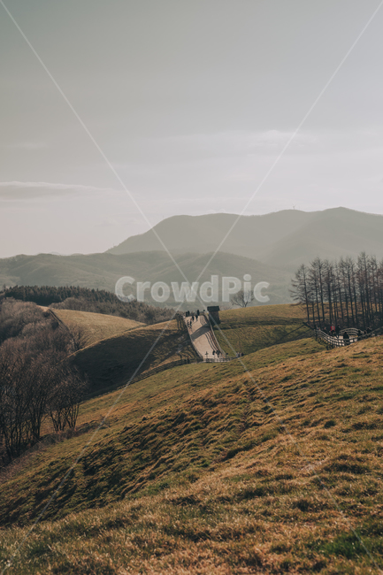 countryside,hill,대관령,삼양목장,풍경,강원도,흐린날,nature,자연,outdoors,감성,빛,자연,풍경,nature,landscape,한국자연풍경,한국자연경관,korea nature landscape