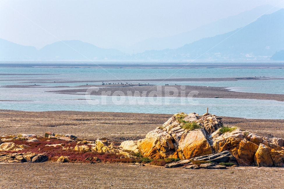 영종도,갯벌,썰물,바닷가,환경,문양,무늬,풍경,자연,풍경,nature,landscape,한국자연풍경,한국자연경관,korea nature landscape,outdoors,옥외,land,땅