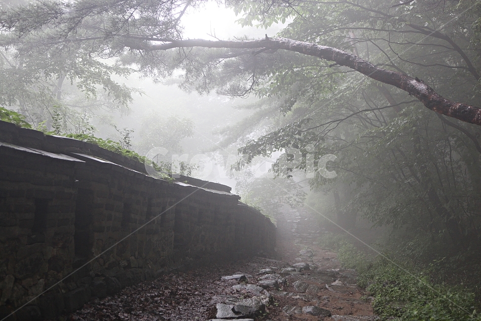 남한산성,성,성곽,둘레길,길,숲,숲길,안개,돌담,담